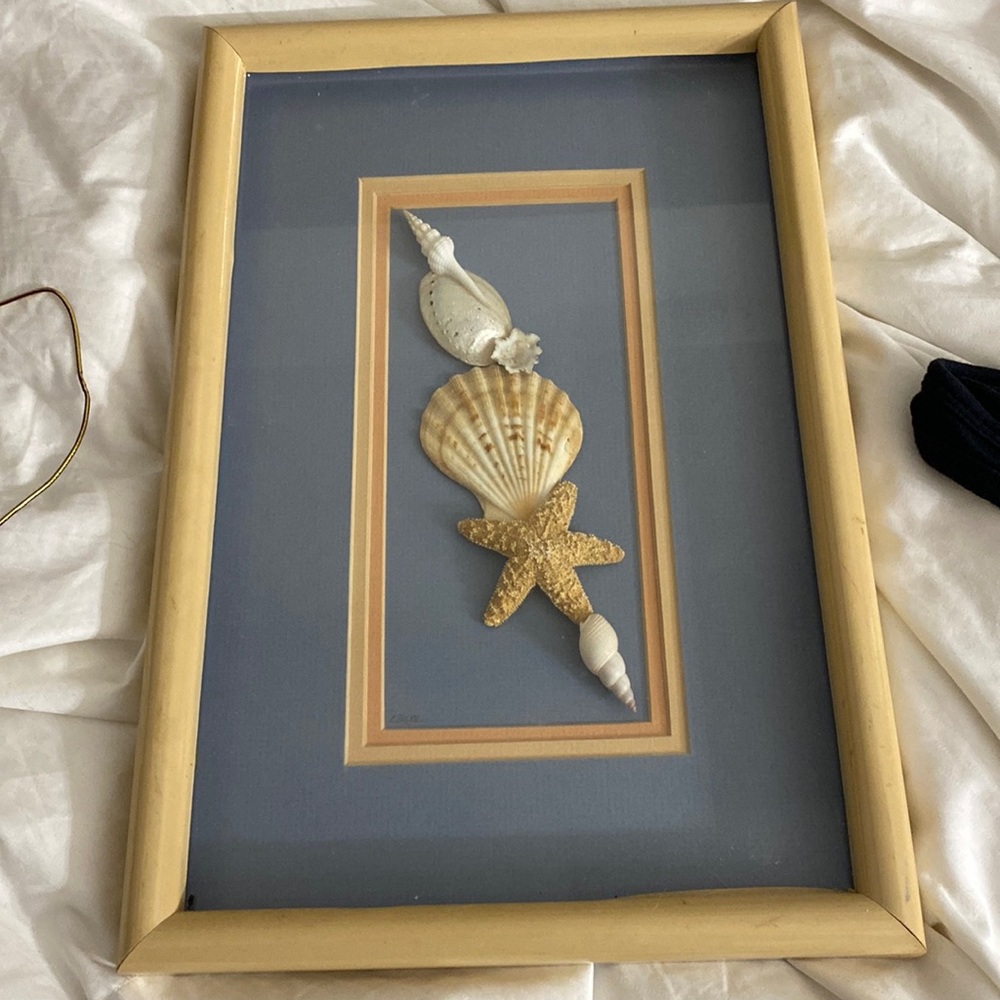 Beach&shell themed 3-D photo, art and frame